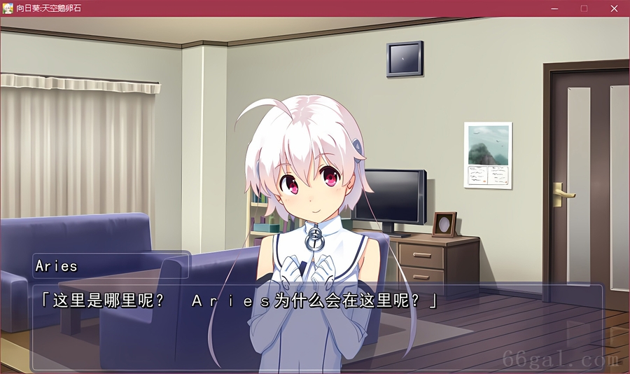 向日葵：天空鹅卵石