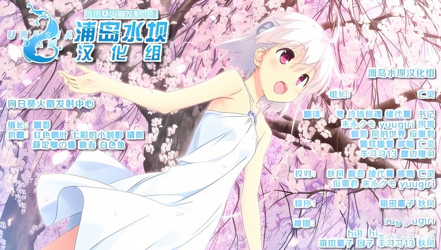 向日葵：天空鹅卵石